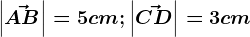 \left | \vecAB \right |=5cm;\left | \vecCD \right |=3cm